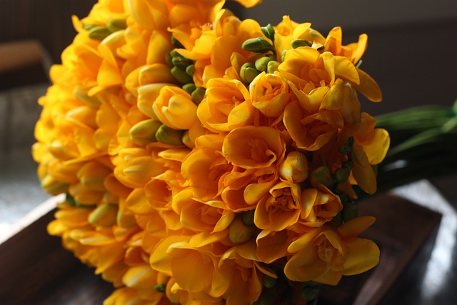 freesia symbole amour inconditionnel